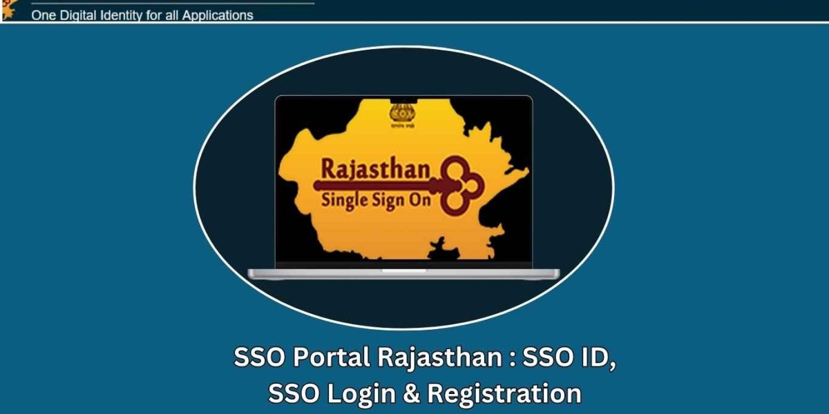 How can I check my SSO login?